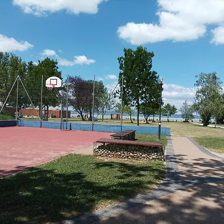 Vivienne * Zamárdi